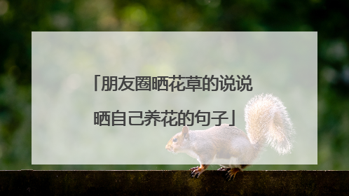 朋友圈晒花草的说说晒自己养花的句子