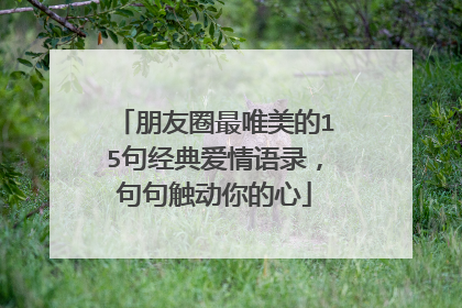 朋友圈最唯美的15句经典爱情语录，句句触动你的心