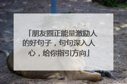 朋友圈正能量激励人的好句子,句句深入人心,给你指引方向