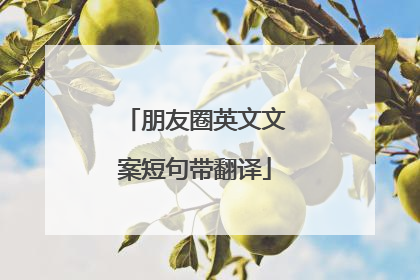 朋友圈英文文案短句带翻译