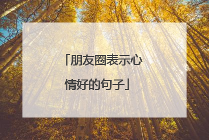 朋友圈表示心情好的句子