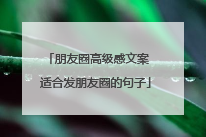 朋友圈高级感文案 适合发朋友圈的句子