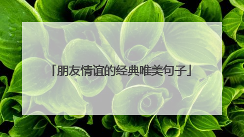 朋友情谊的经典唯美句子