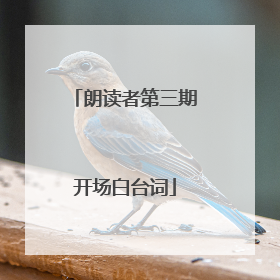 朗读者第三期开场白台词