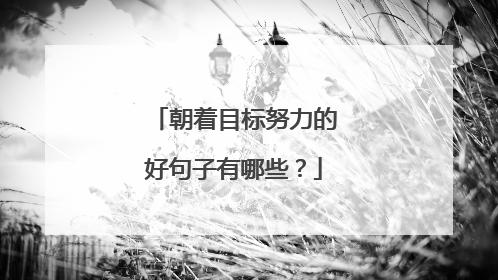 朝着目标努力的好句子有哪些？