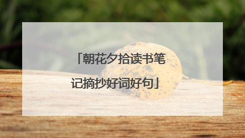 朝花夕拾读书笔记摘抄好词好句