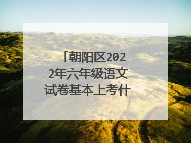朝阳区2022年六年级语文试卷基本上考什么类型的阅读