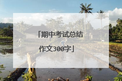 期中考试总结作文300字