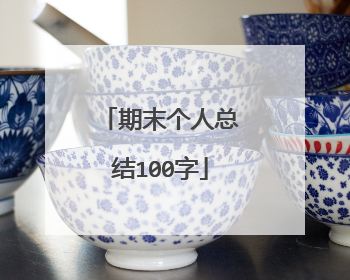 期末个人总结100字