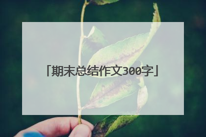 期末总结作文300字