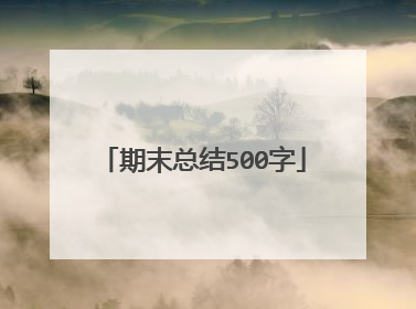期末总结500字