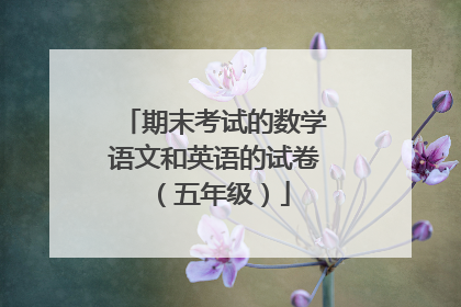 期末考试的数学语文和英语的试卷（五年级）