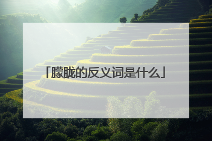 朦胧的反义词是什么