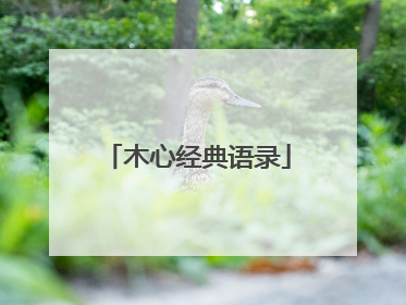 木心经典语录