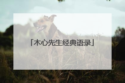 木心先生经典语录