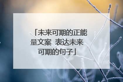 未来可期的正能量文案 表达未来可期的句子