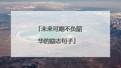 未来可期不负韶华的励志句子