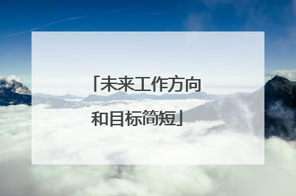 未来工作方向和目标简短