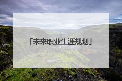 未来职业生涯规划