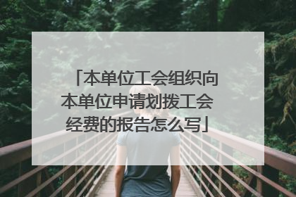 本单位工会组织向本单位申请划拨工会经费的报告怎么写