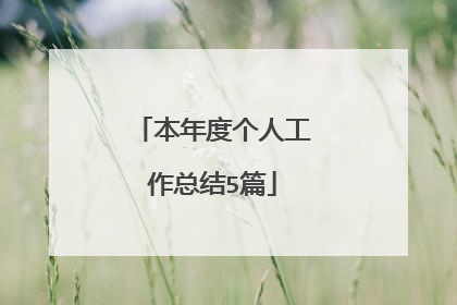本年度个人工作总结5篇