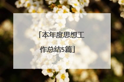 本年度思想工作总结5篇