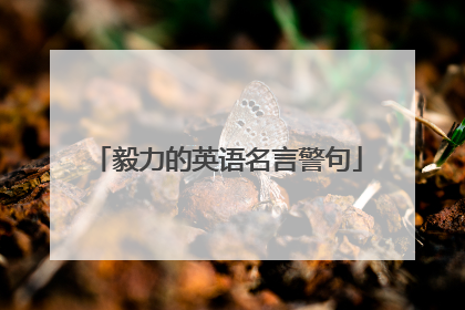 毅力的英语名言警句