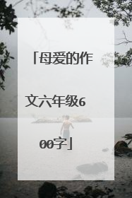 母爱的作文六年级600字