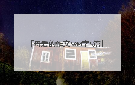 母爱的作文500字5篇