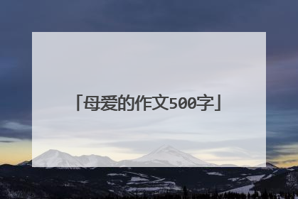 母爱的作文500字