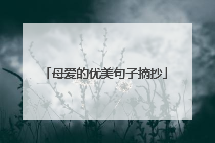 母爱的优美句子摘抄