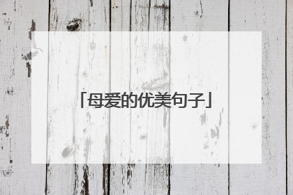 母爱的优美句子