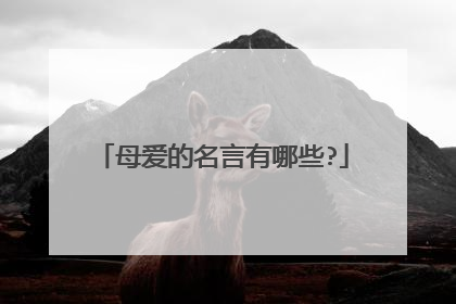 母爱的名言有哪些?