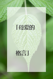 母爱的格言