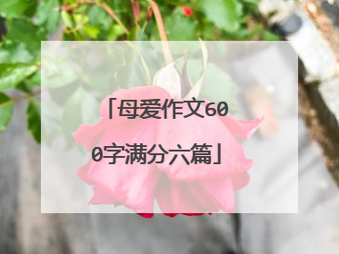 母爱作文600字满分六篇