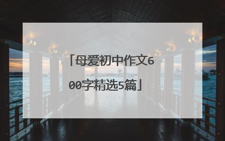 母爱初中作文600字精选5篇