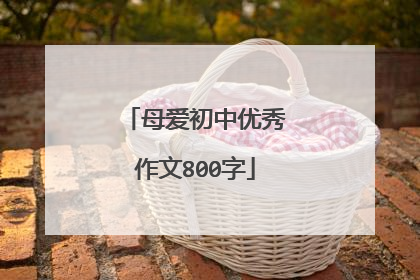 母爱初中优秀作文800字