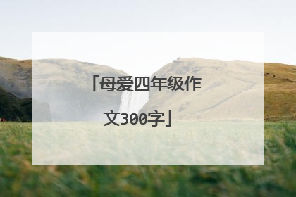 母爱四年级作文300字