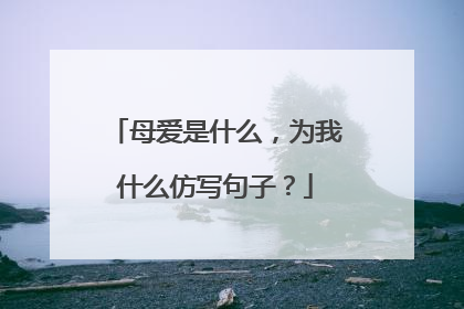 母爱是什么，为我什么仿写句子？