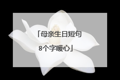 母亲生日短句8个字暖心