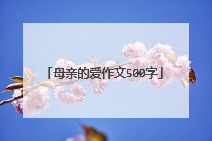 母亲的爱作文500字