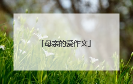 母亲的爱作文