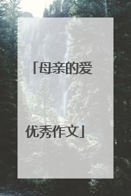 母亲的爱优秀作文