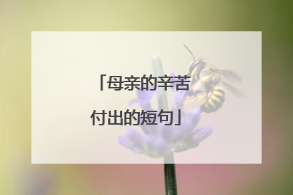 母亲的辛苦付出的短句