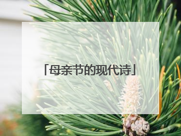 母亲节的现代诗