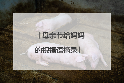 母亲节给妈妈的祝福语摘录
