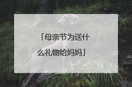 母亲节为送什么礼物给妈妈
