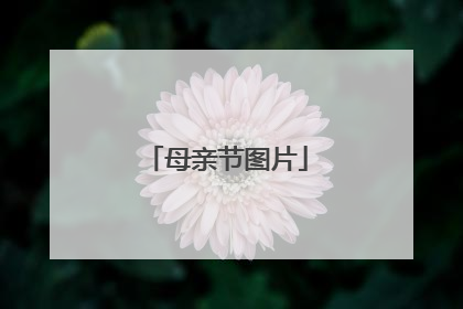 母亲节图片