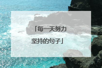 每一天努力坚持的句子