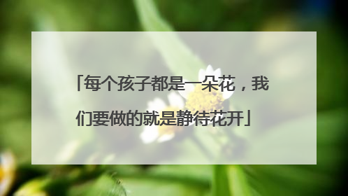 每个孩子都是一朵花,我们要做的就是静待花开